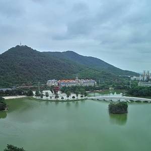 阳光