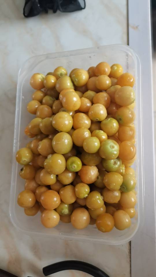 小丫小丫
