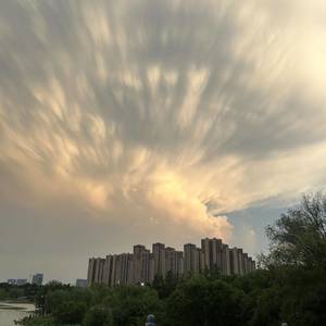 樱桃小丸犊子
