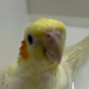 路过