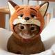 猫猫