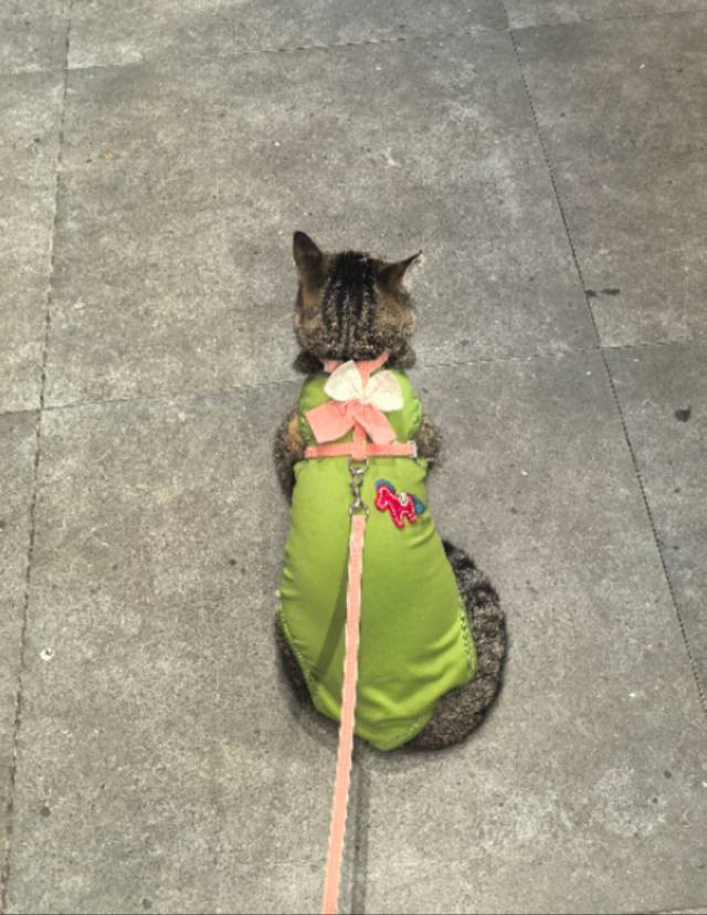 个人转租