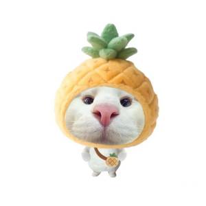 uu