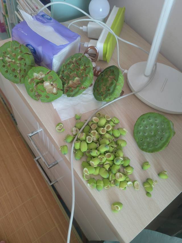 绿莲蓬