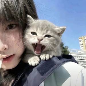 小予