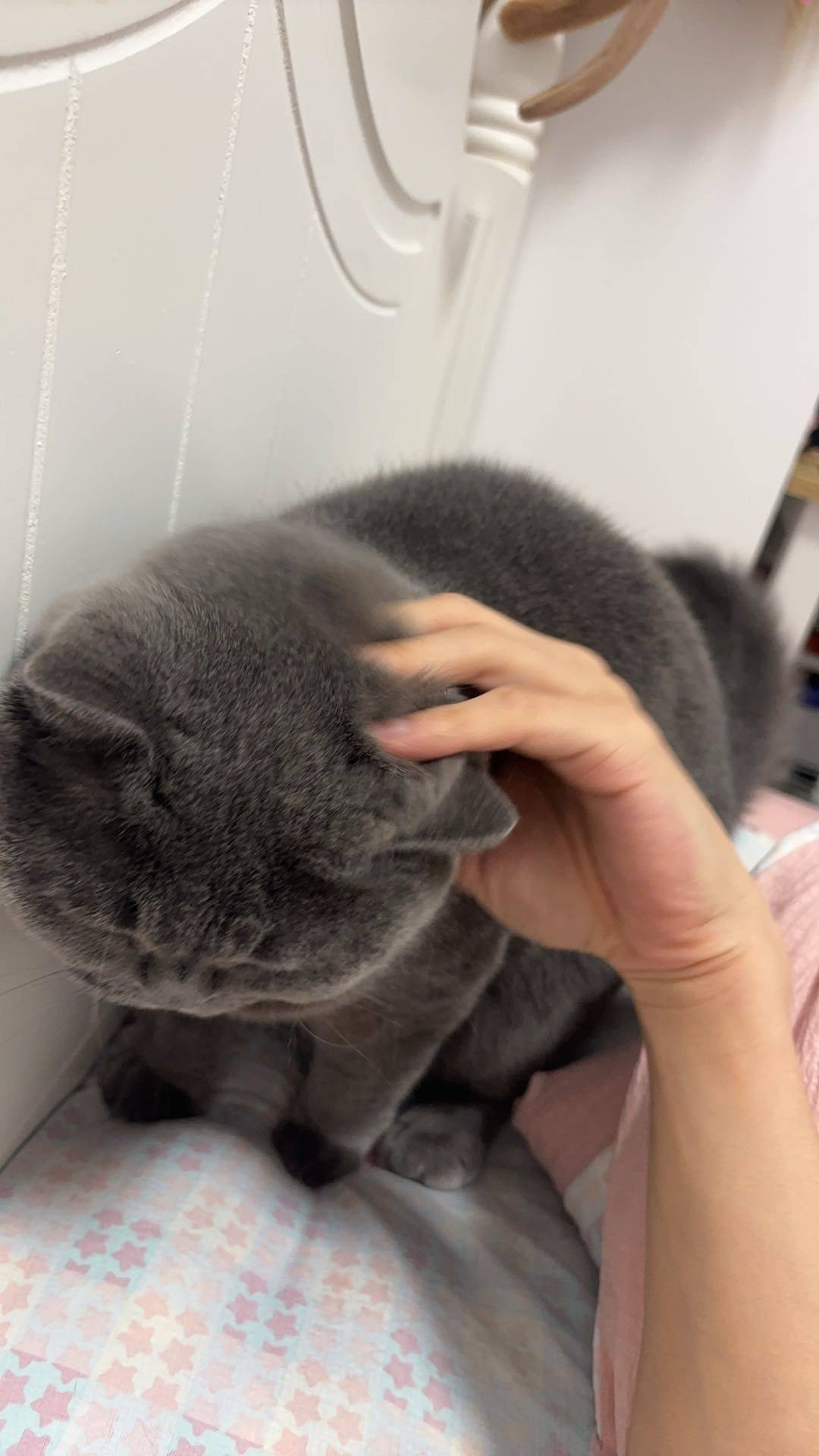 你喜欢吃辣吗