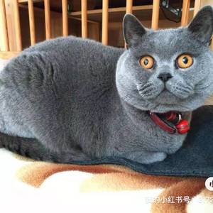 平安如意