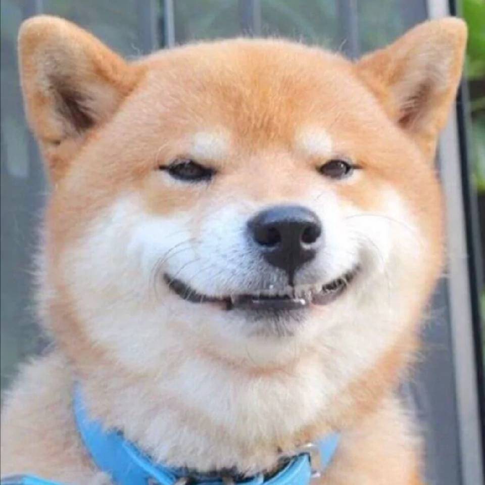荣桑