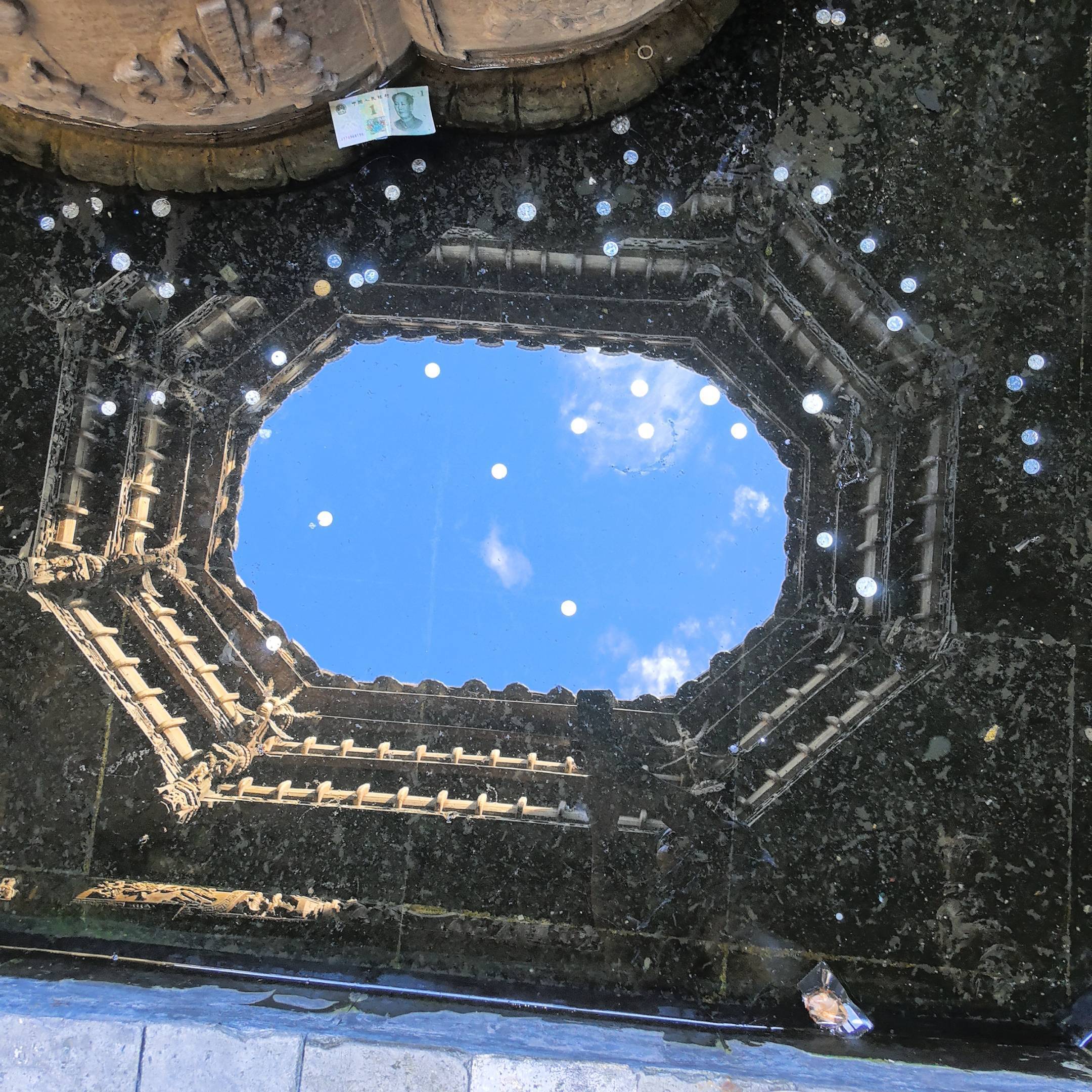 枫叶林
