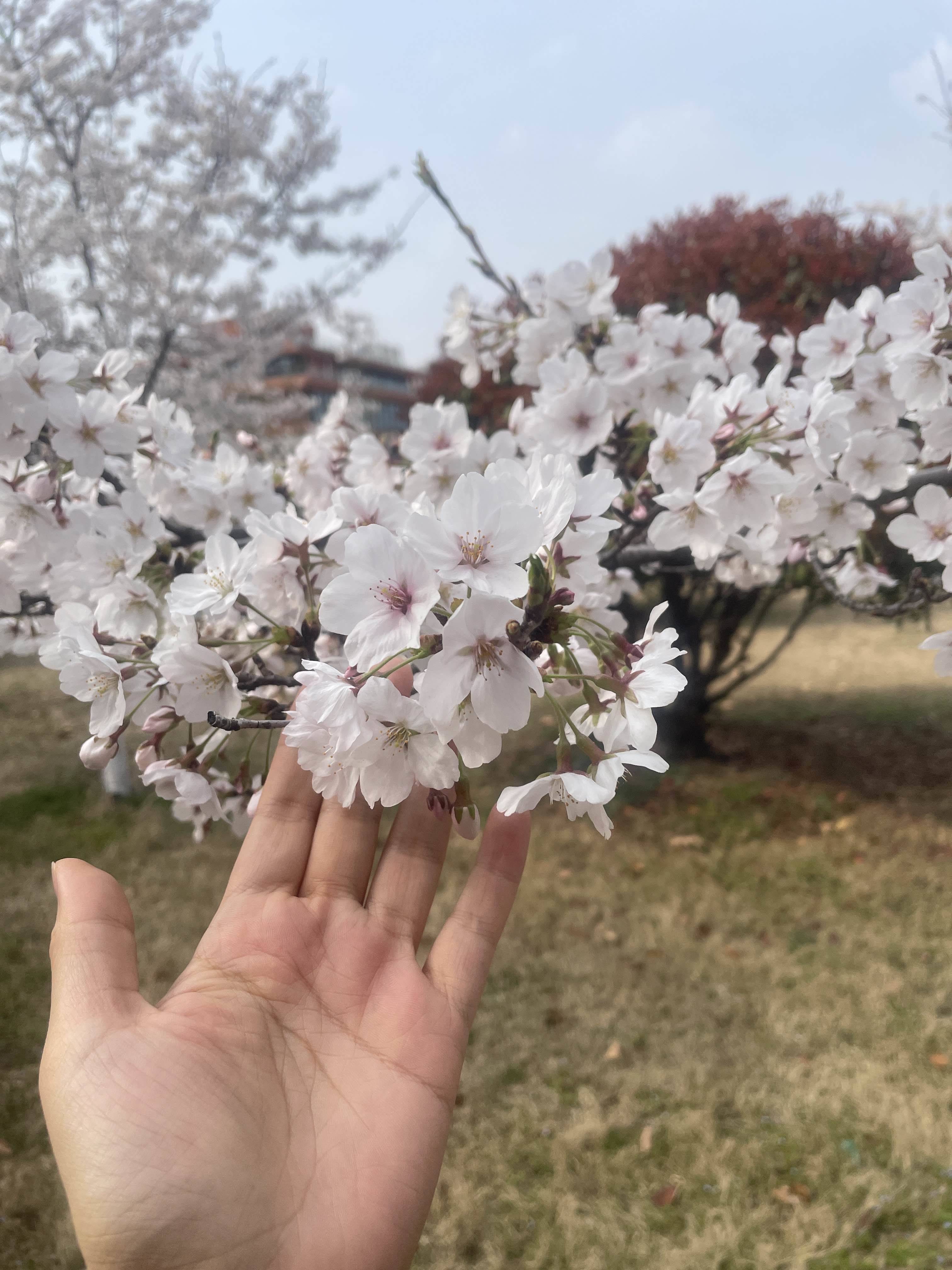 life_photo_0
