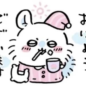 溜溜梅1号