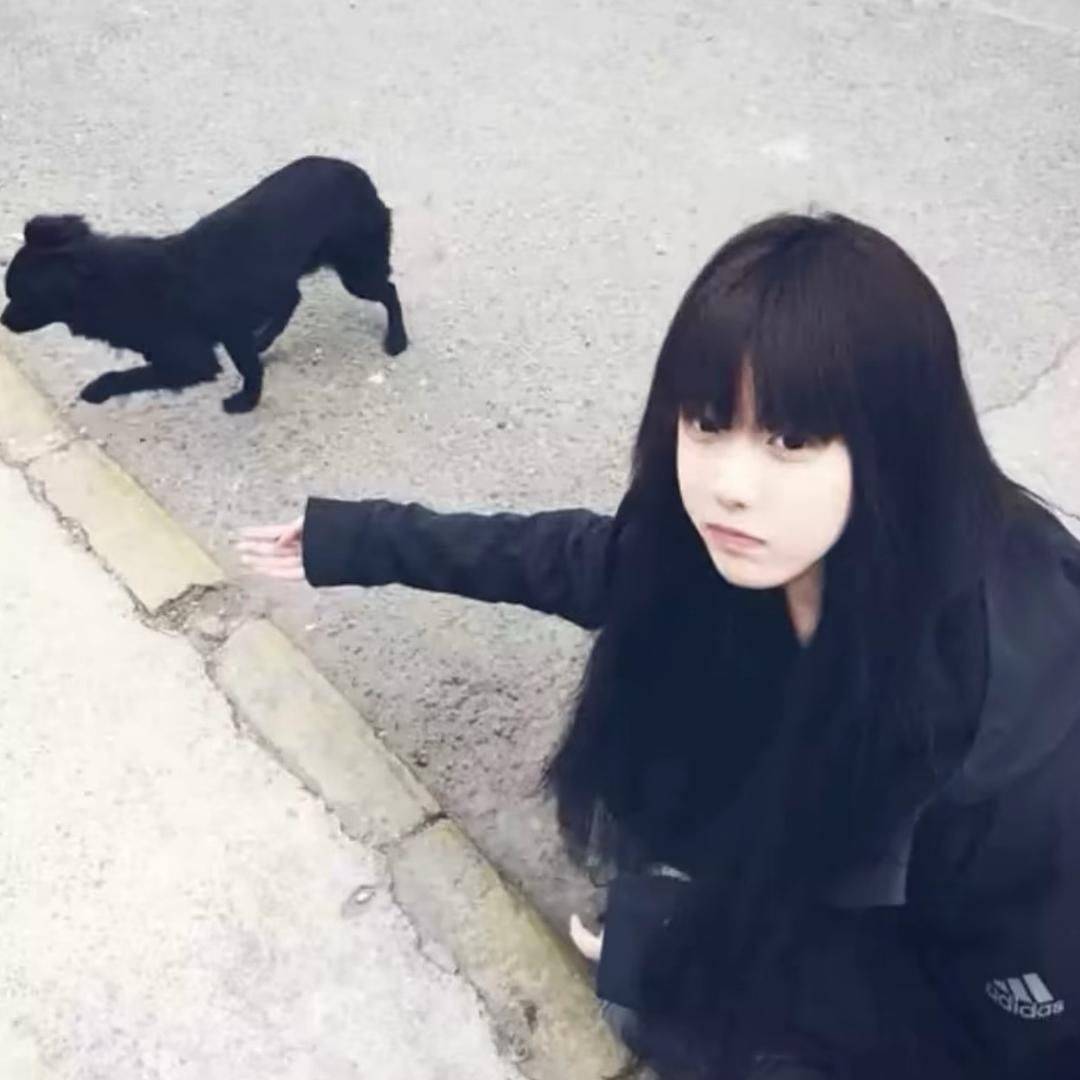 晨晨