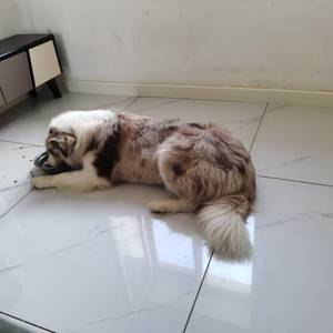慧