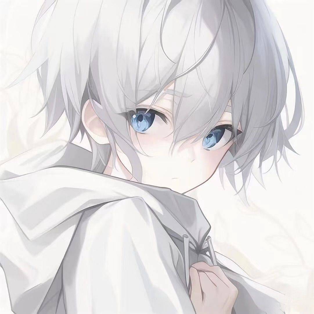 流浪猫