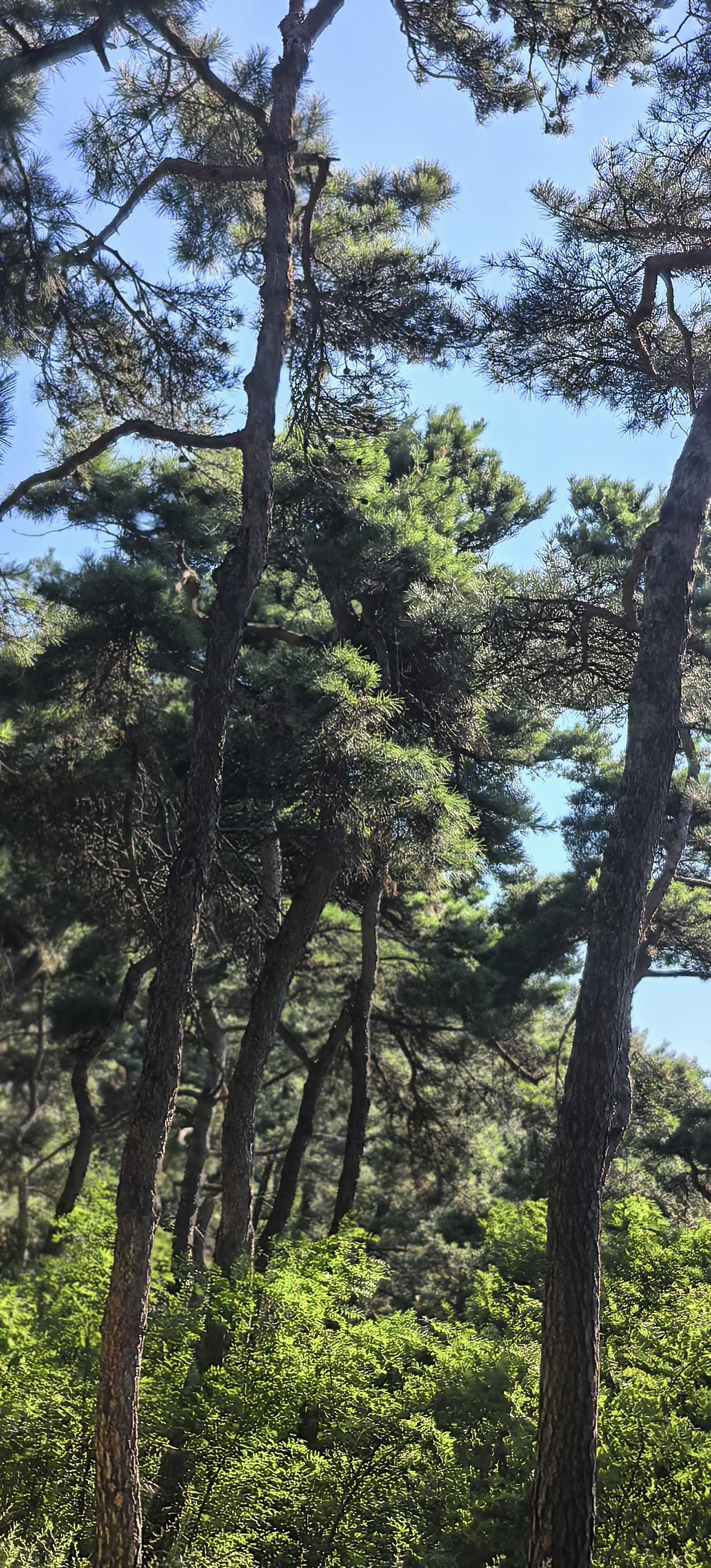天天向上洪家楼