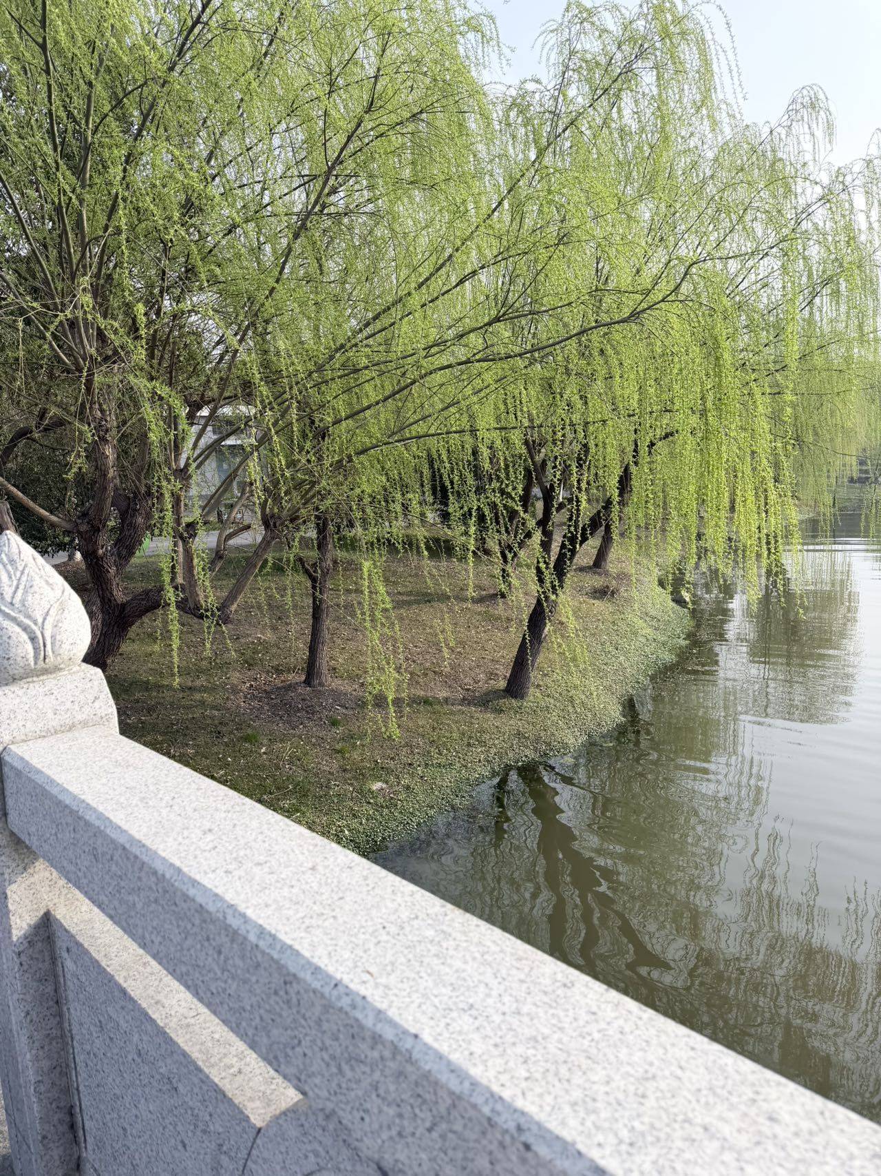 後來