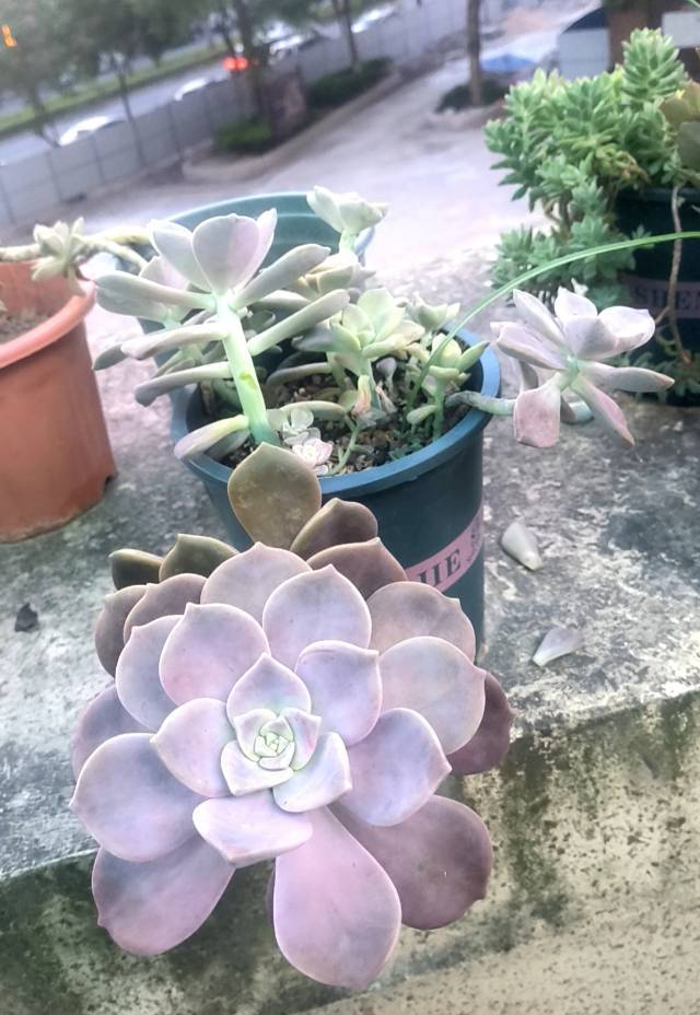 网络飞扬