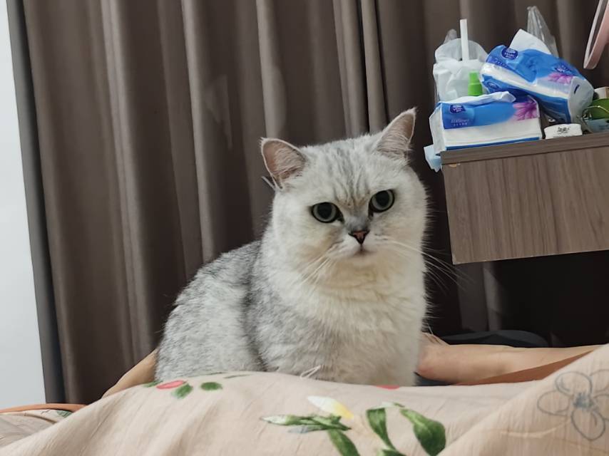 卡布叻💕