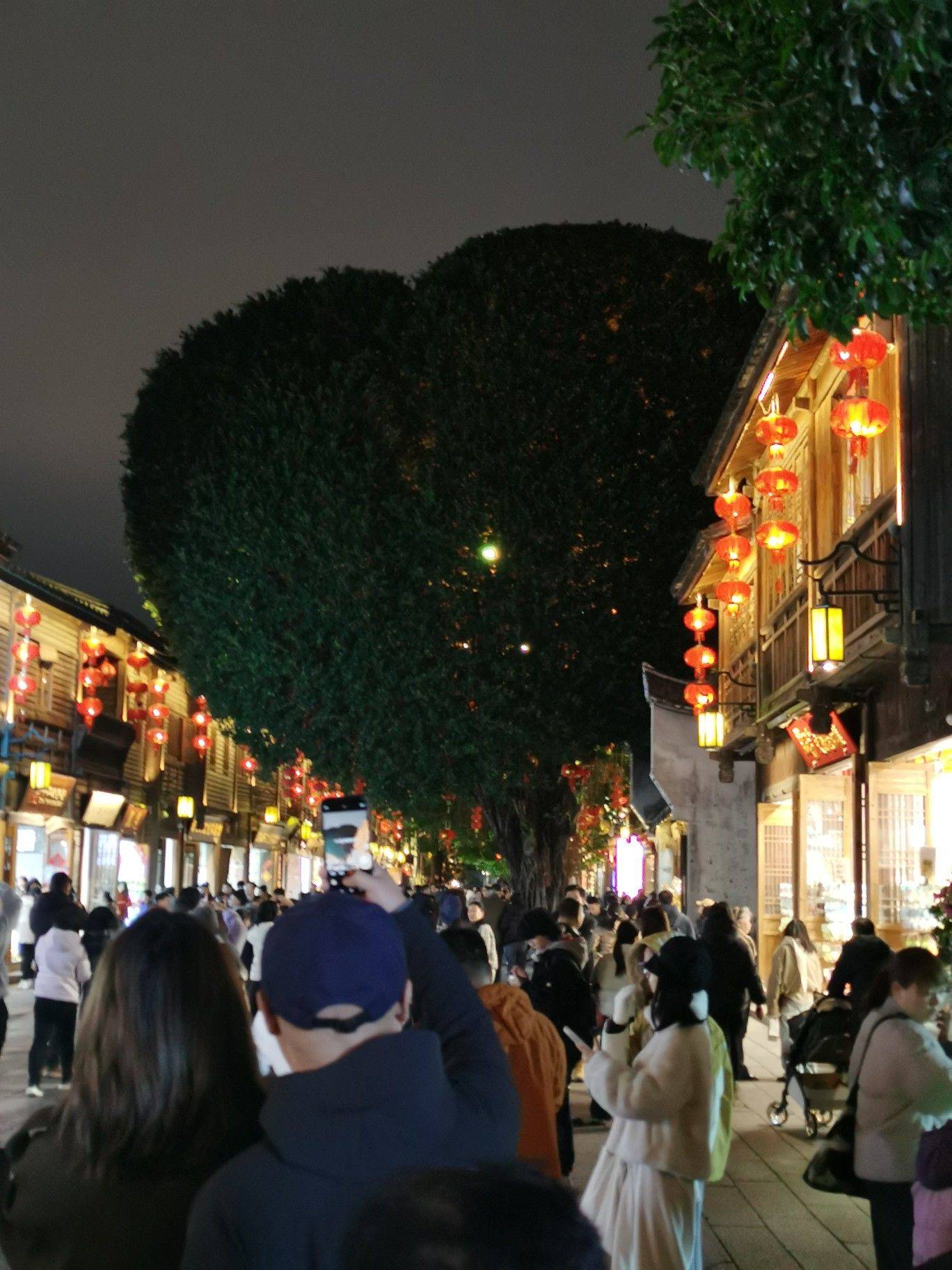 土豆爱吃鱼