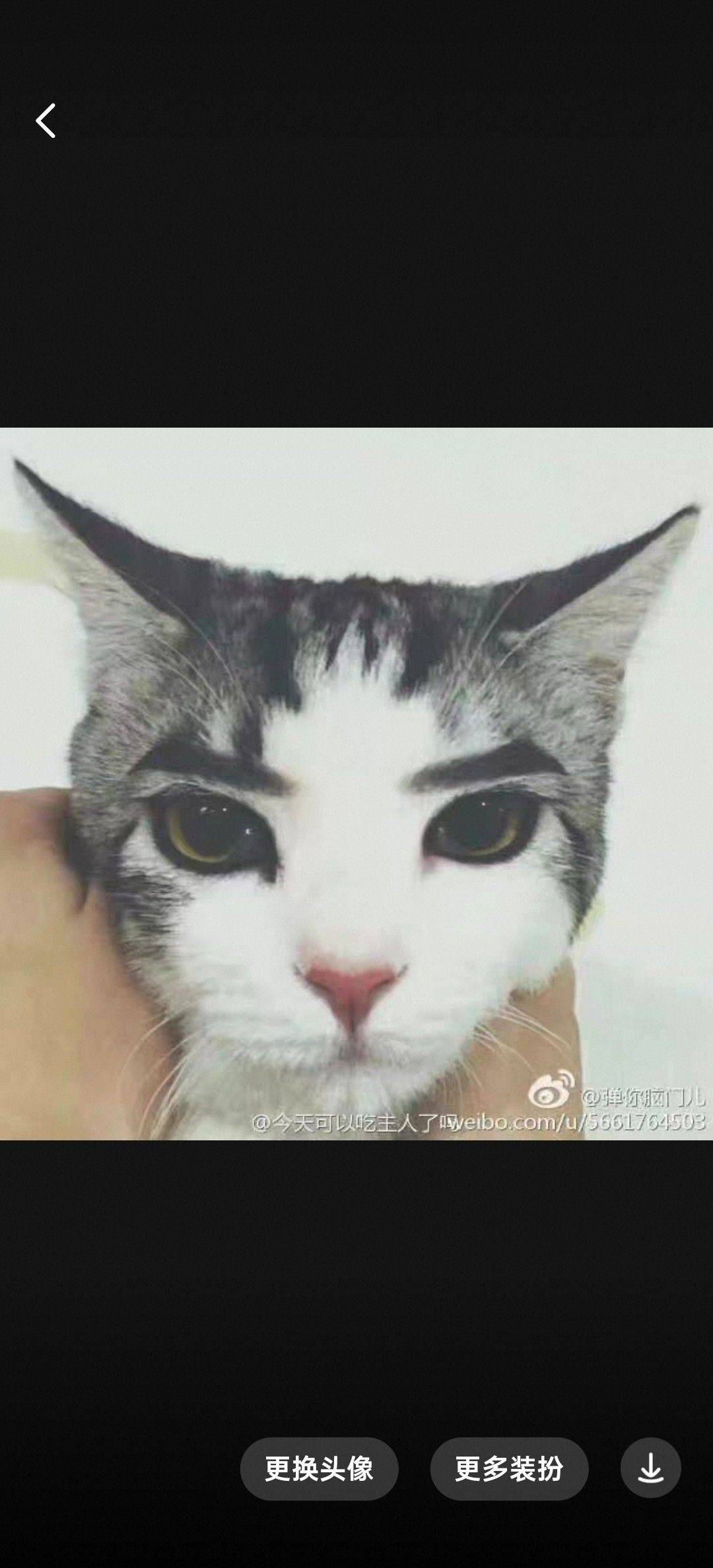芥子就是芥子