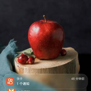 文