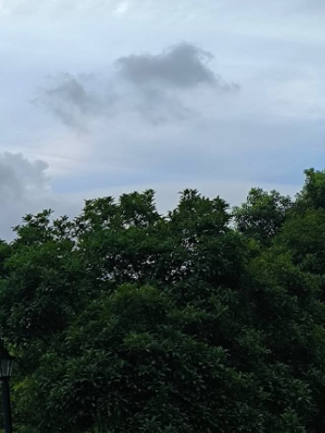 柠檬