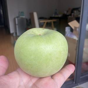 K先生