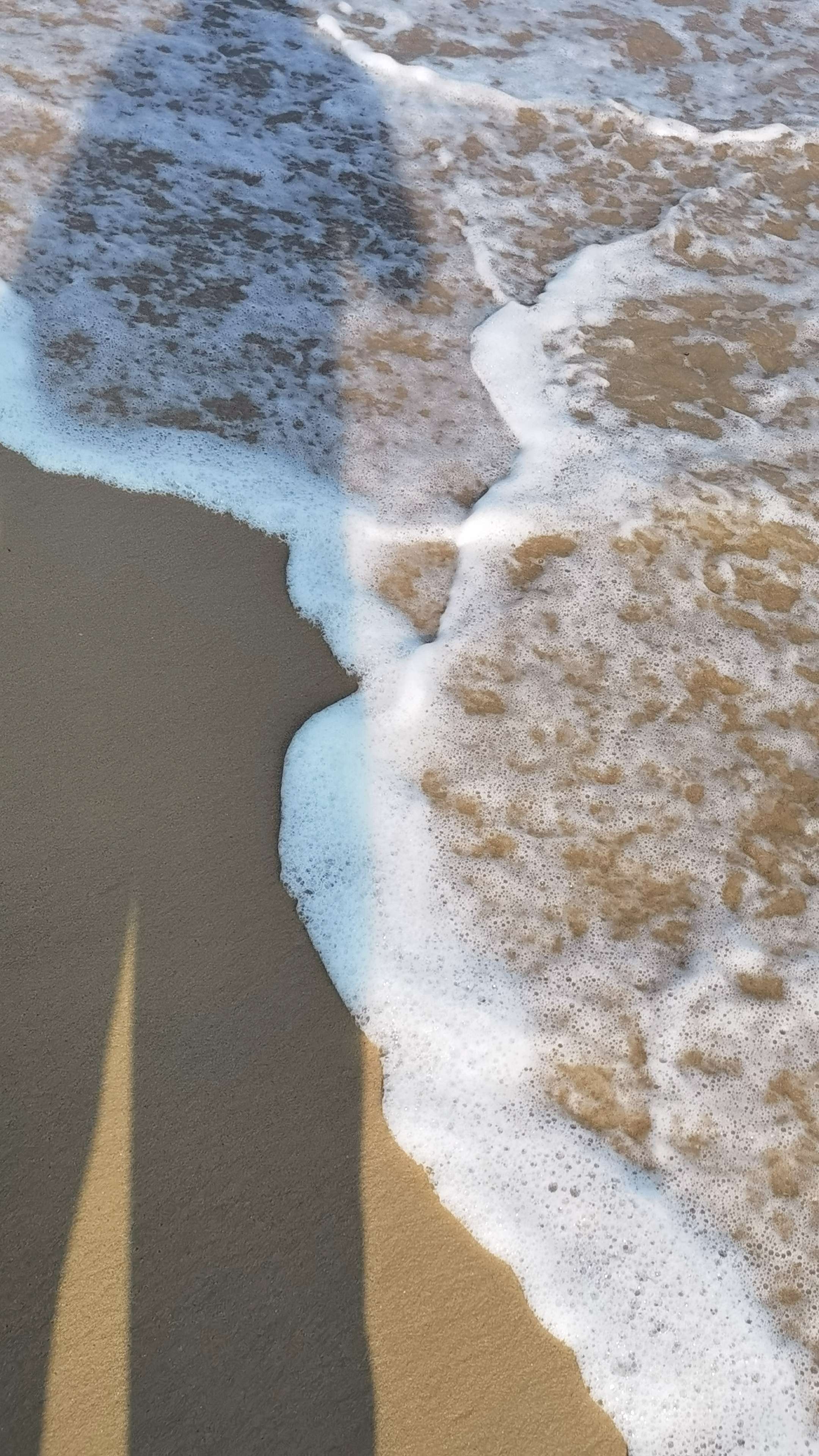 不逐流的泡泡