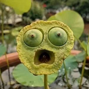 风起云涌