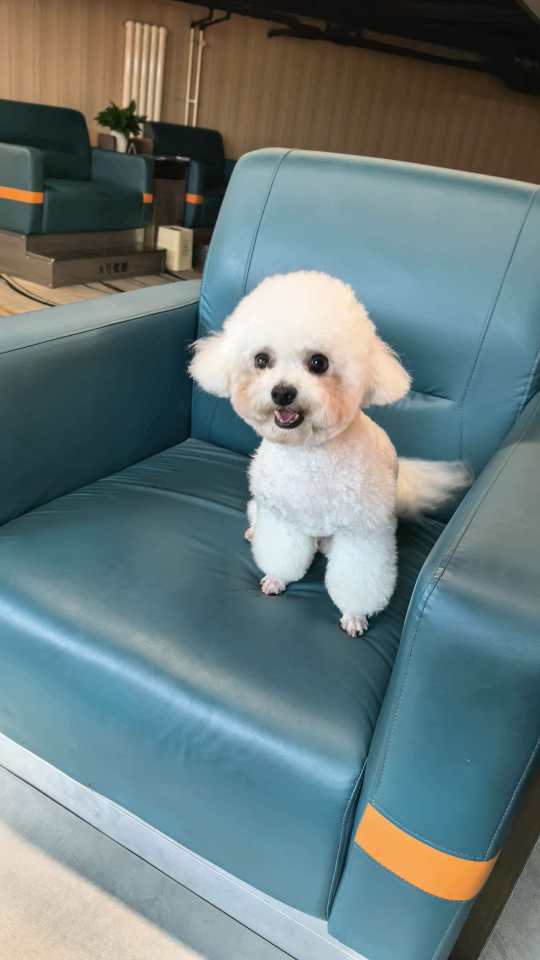 小刘呀