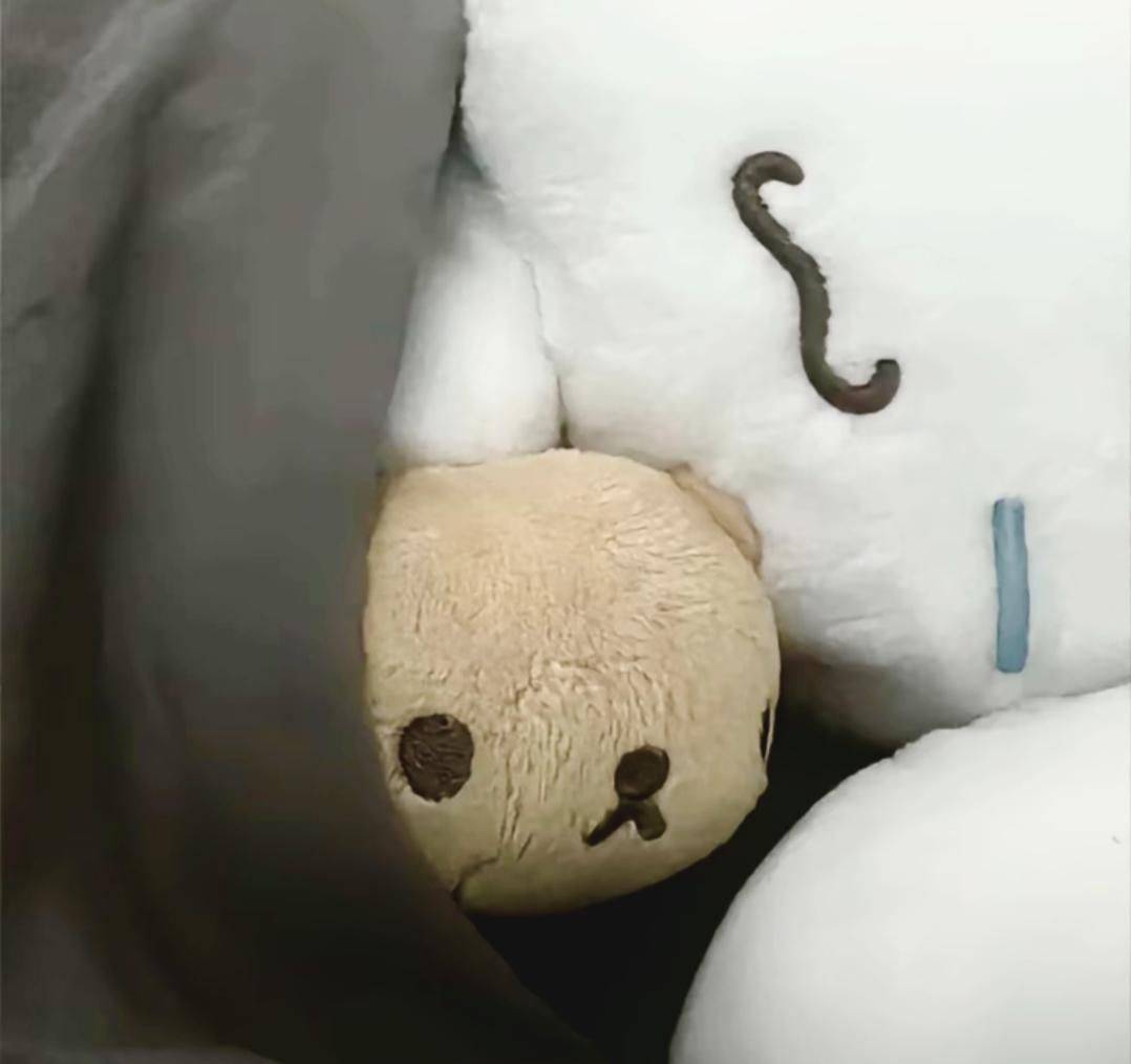 小T