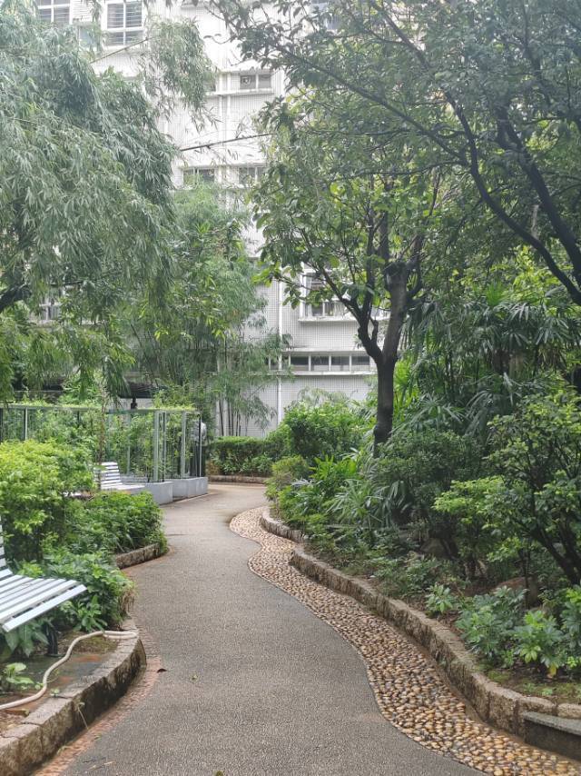小张