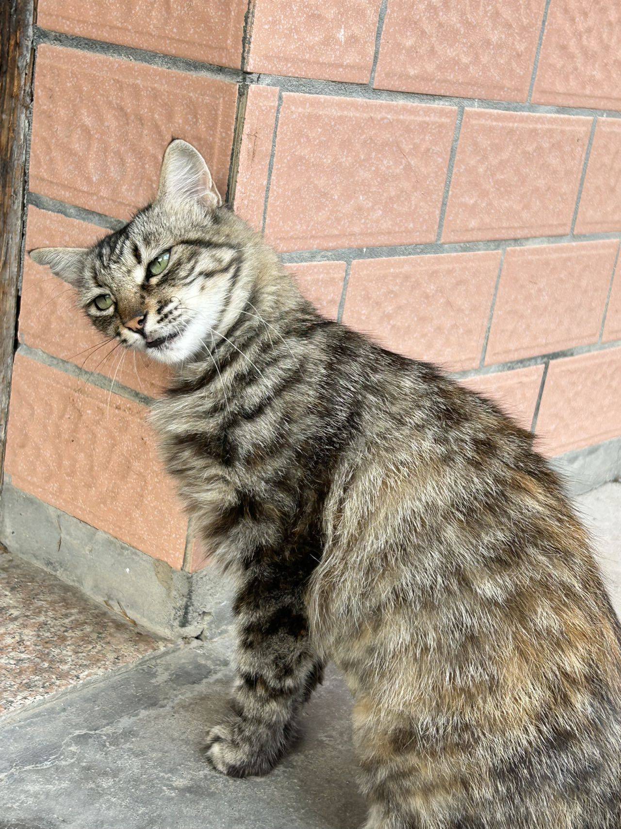 又又