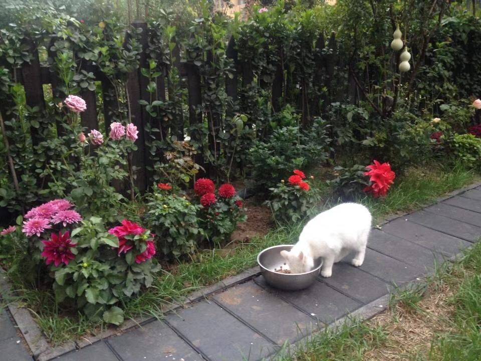 life_photo_4