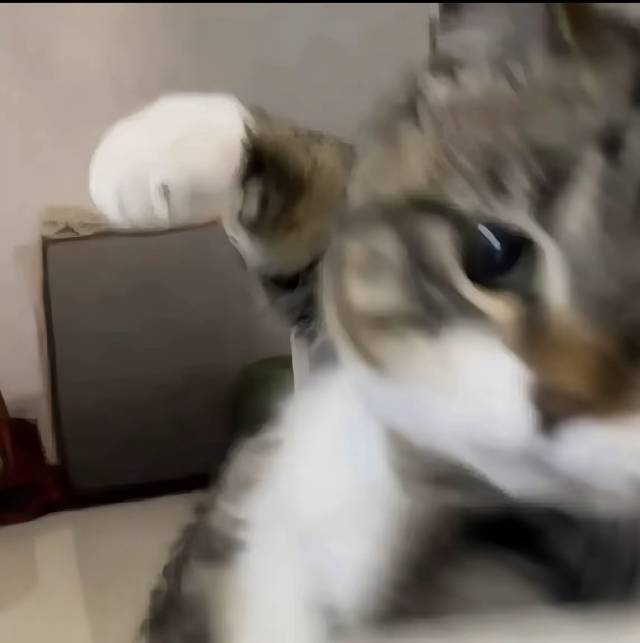 哔哩哔哩叭啦啦啦啦