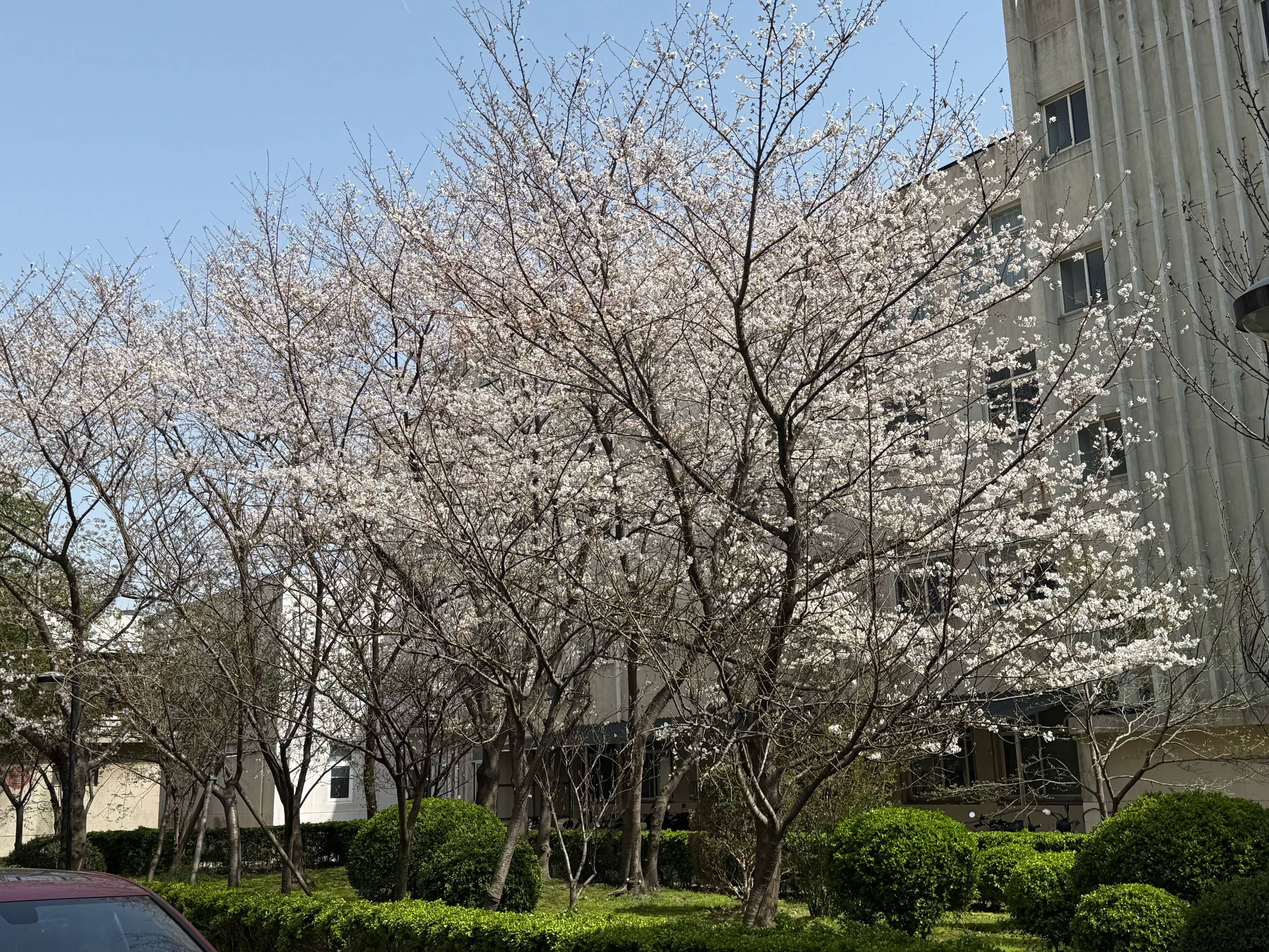 明臻
