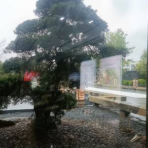 言