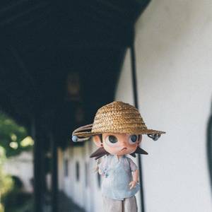 张女士