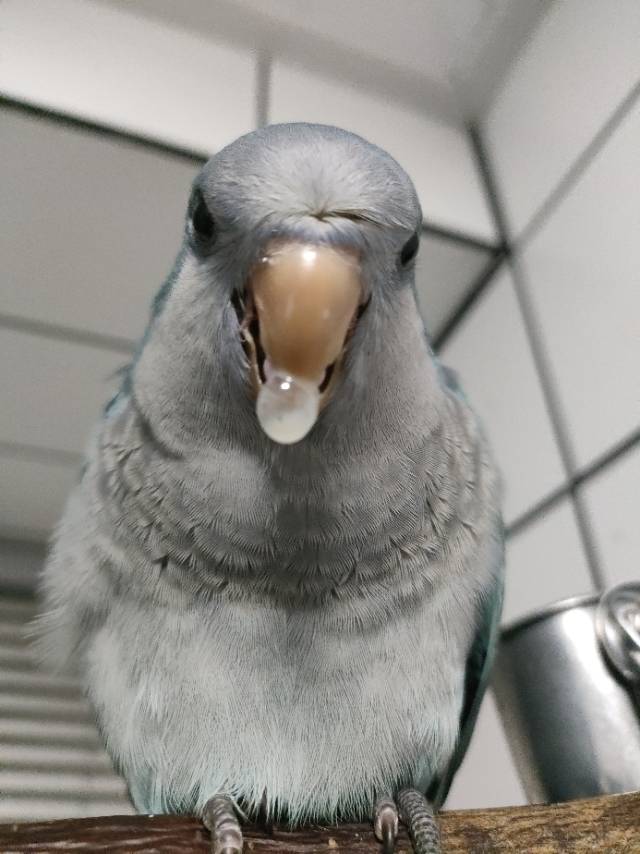 招租新街口两室