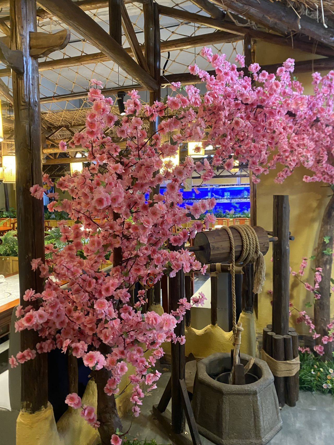 玫瑰花