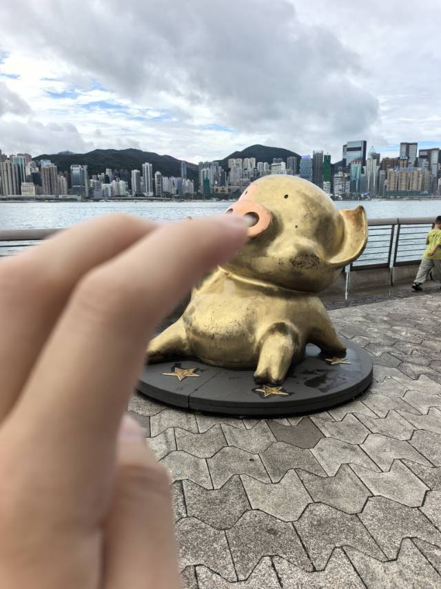 红豆芽