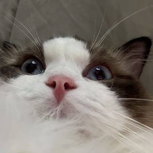 满满