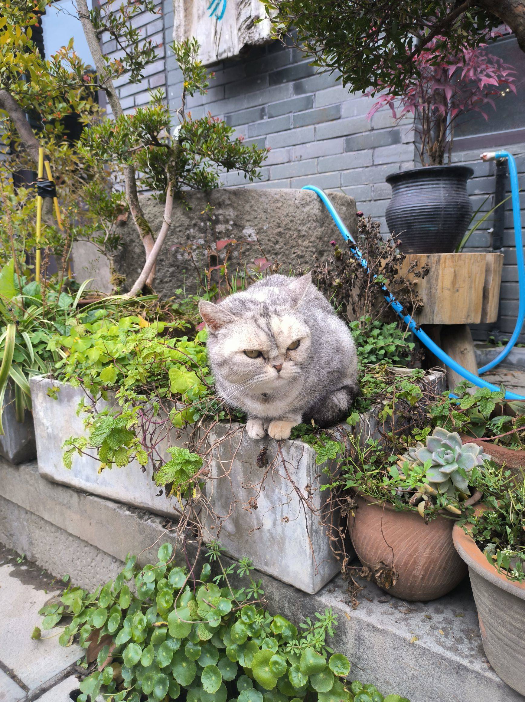 田园风光