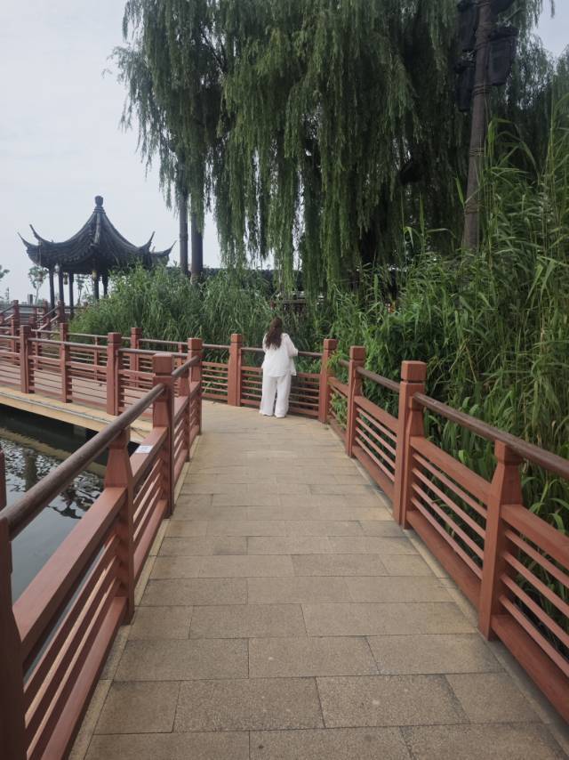 佛系少女