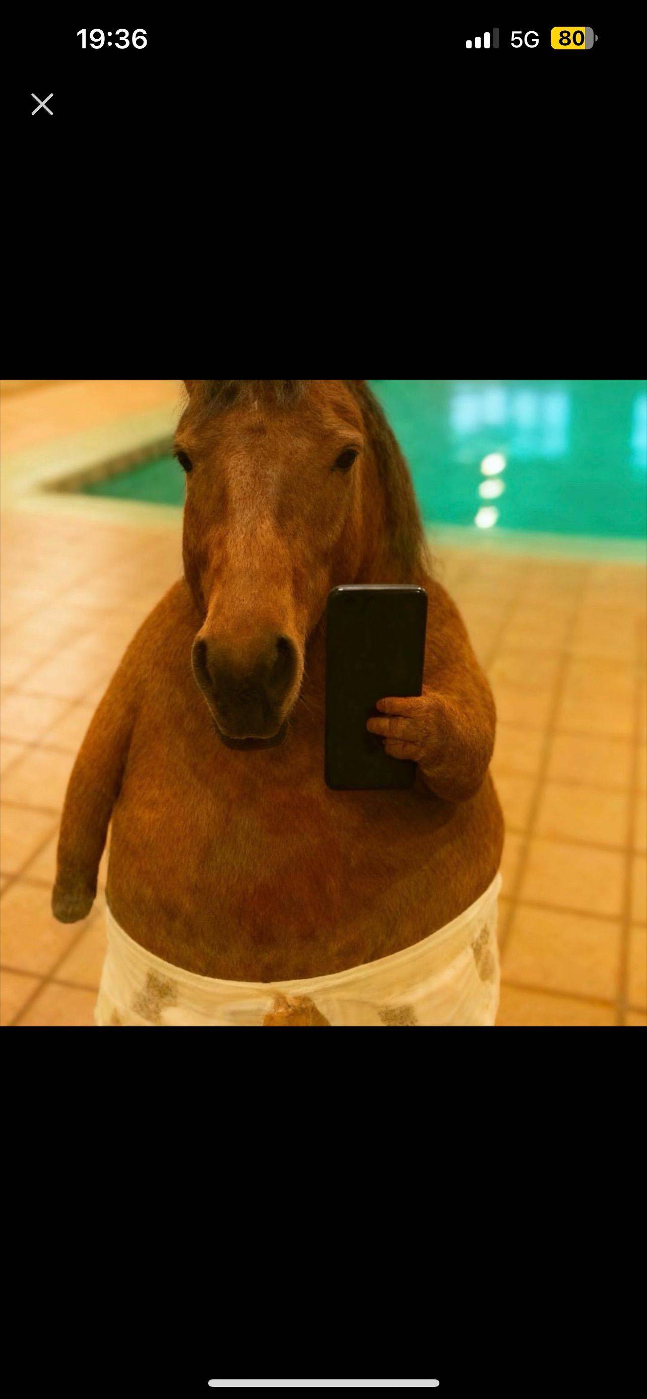 哇哈哈