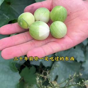 龙马精神