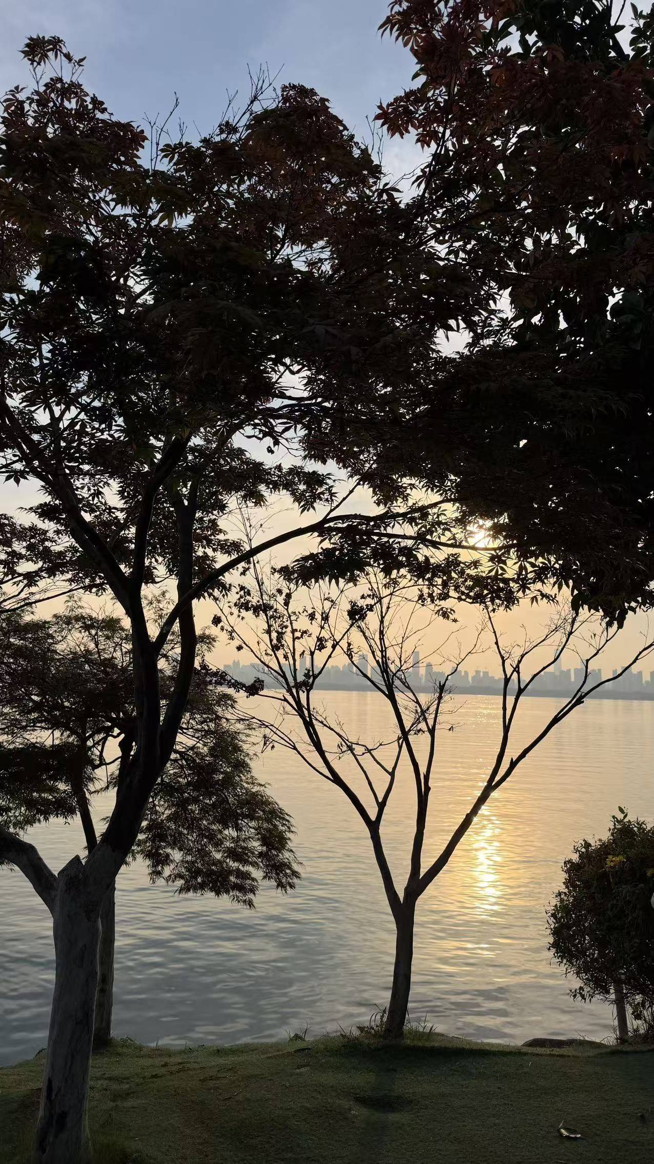 life_photo_1