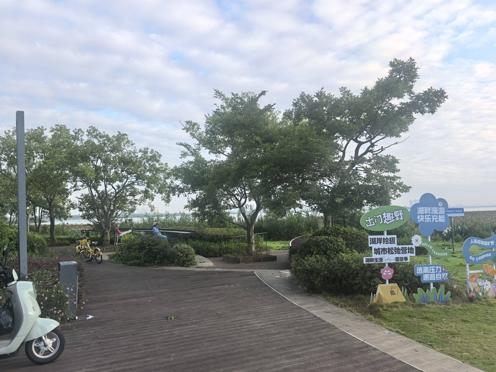 大木