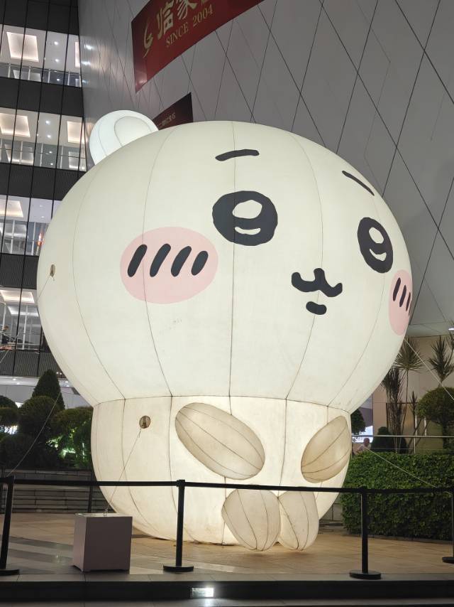 倾吾所命,执吾言行