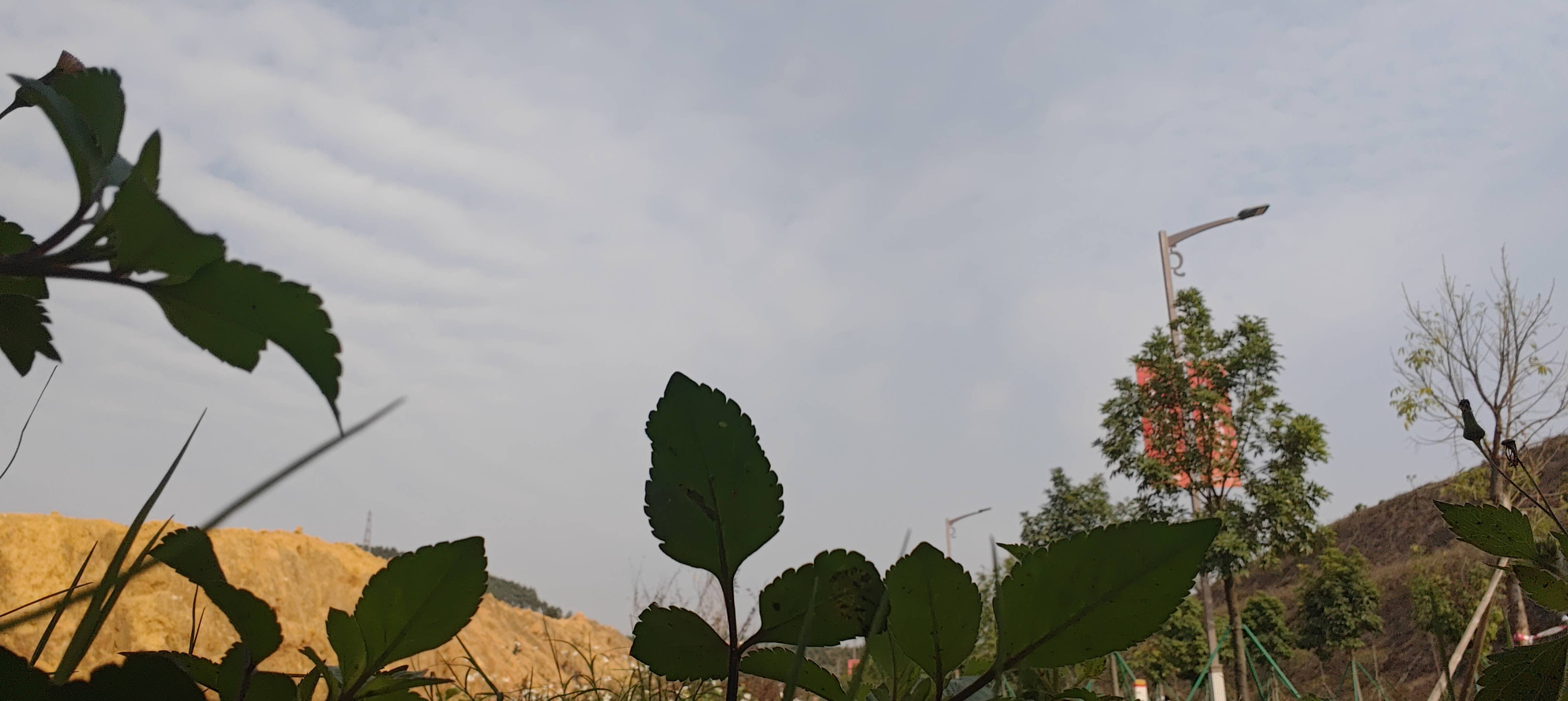 唯